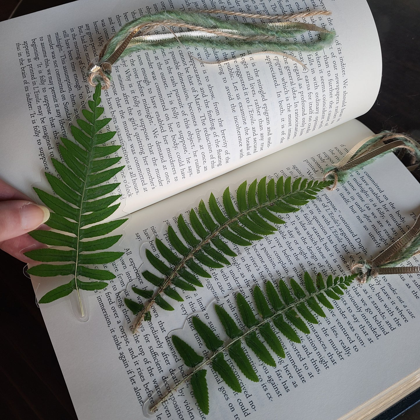 Pressed Fern Bookmark – Handcrafted & One-of-a-Kind