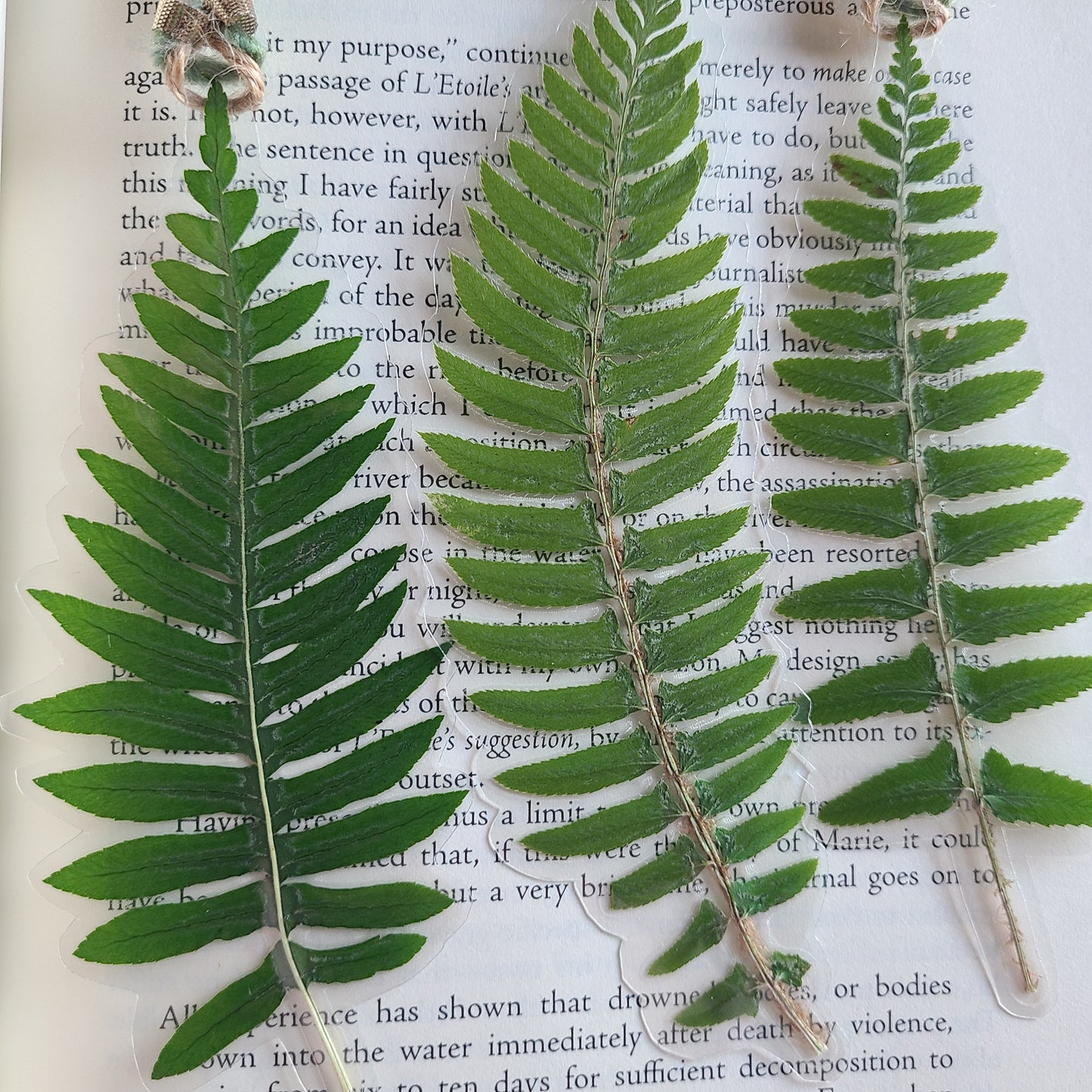 Pressed Fern Bookmark – Handcrafted & One-of-a-Kind