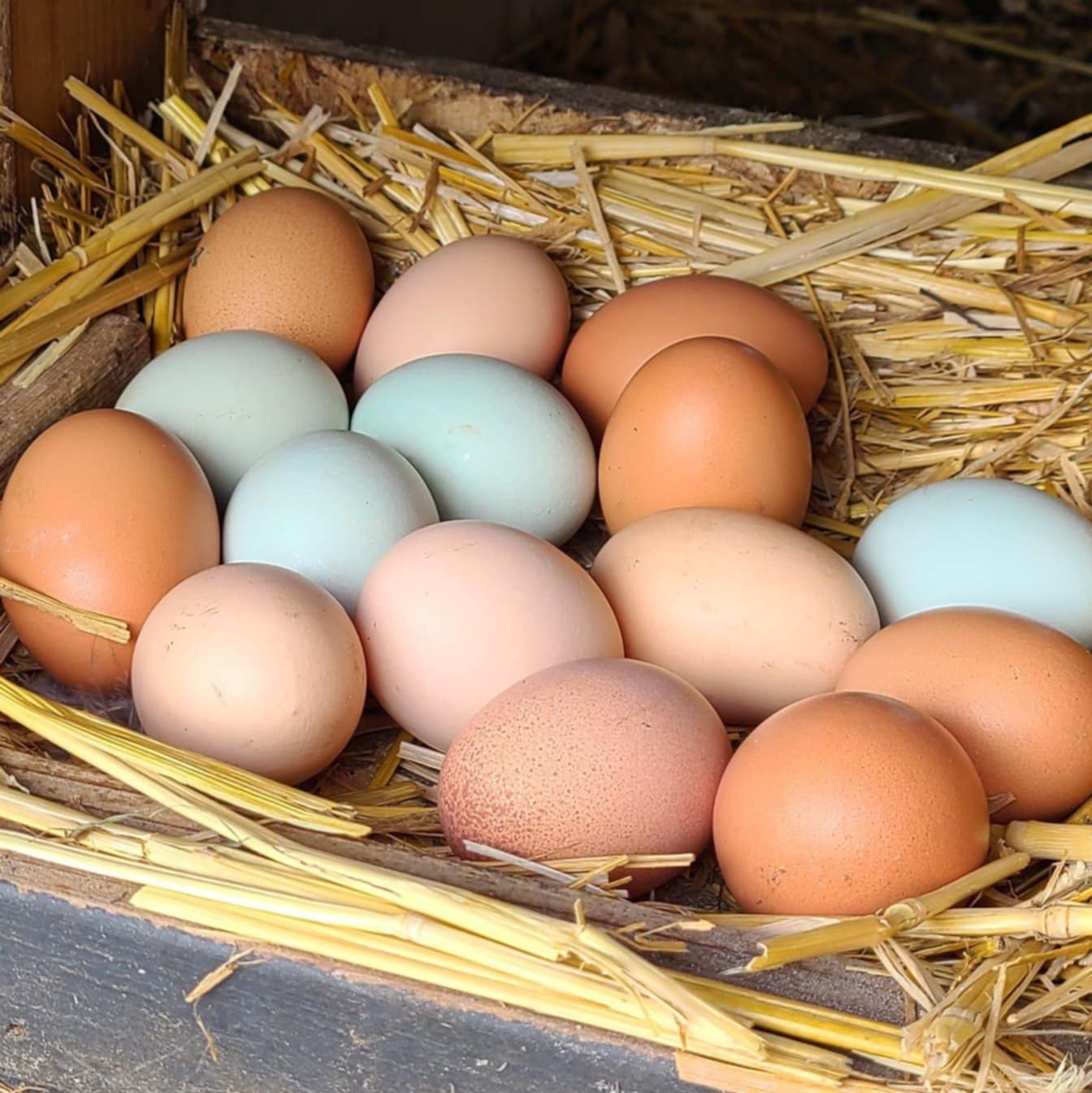 Farm-Fresh Eggs: Pickup Only