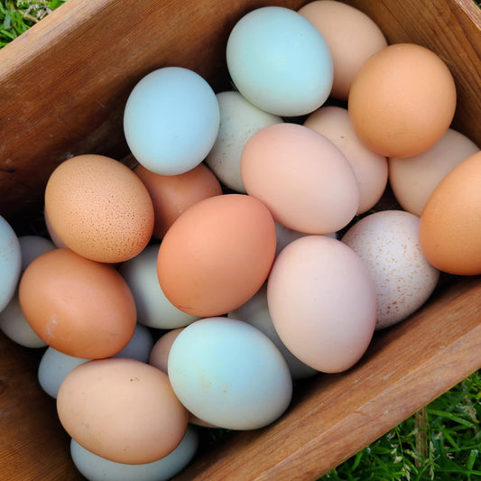 Farm-Fresh Eggs: Pickup Only